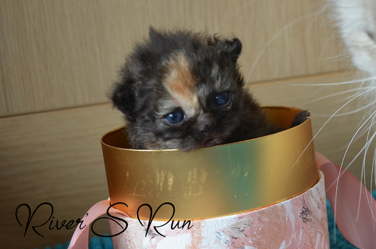 Vicky 23 janvier 2024 (2).jpg